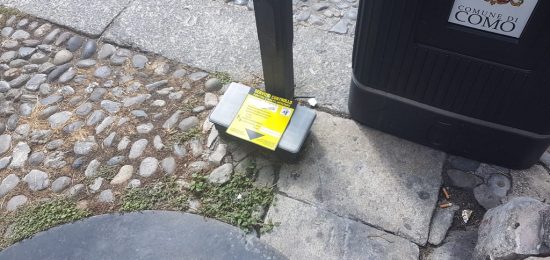 topi-ratti-topicida (1)