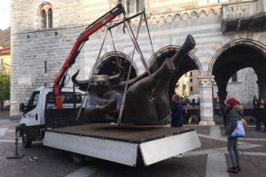 toro-4