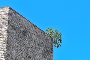 torre gattoni 3