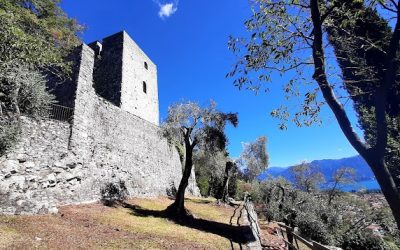 torre soccorso 2