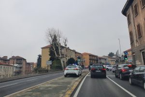 traffico napoleona