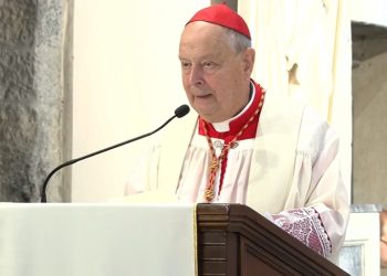 vescovo cantoni