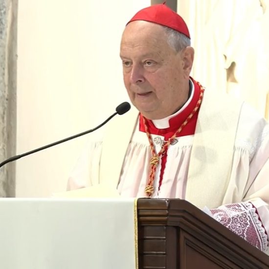 vescovo cantoni