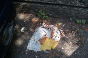 via Marchesi 5 agosto 2019