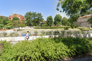 via-sant-elia-collina-rose (2)