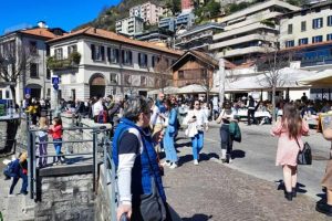 viale geno