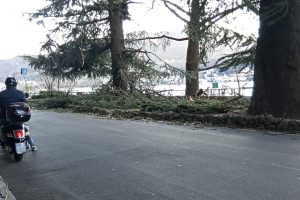 viale-geno-vento-2