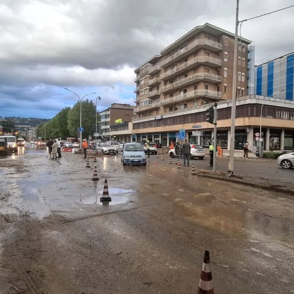 viale innocenzo tangenziale
