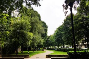 viale-varese-1