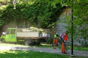viale-varese-giardinieri