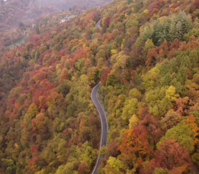 video valle intelvi