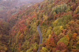video valle intelvi