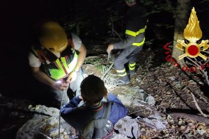 vigili del fuoco bosco 1