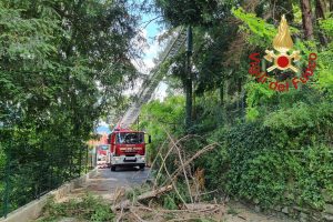 vigili del fuoco