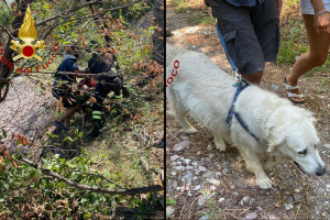 vigili-fuoco-cane-proprietario-dirupo-4