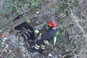 vigili-fuoco-centro-valle-intelvi-cerano-cane-salvato-1