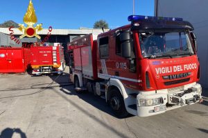 vigili fuoco erba