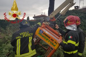 vigili-fuoco-giardinieri