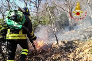 vigili-fuoco-incendio-canzo-val-ravella (3)
