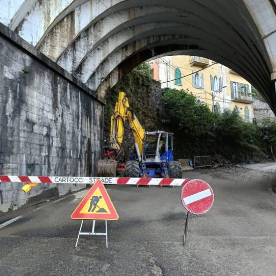 vigili0