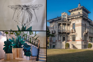 villa-bernasconi
