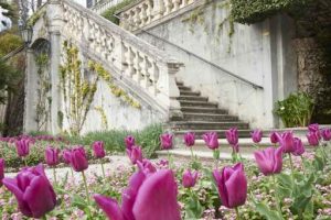 villa carlotta