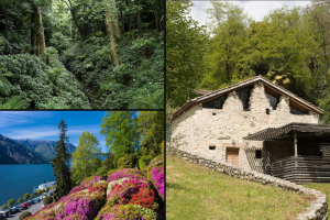 villa-carlotta-giardino-riscoperto