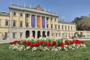 villa olmo