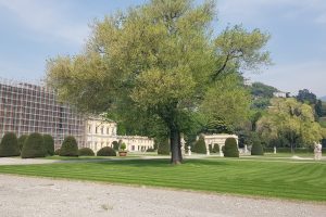 villa olmo 3