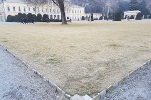 villa-olmo-prati-gialli (2)