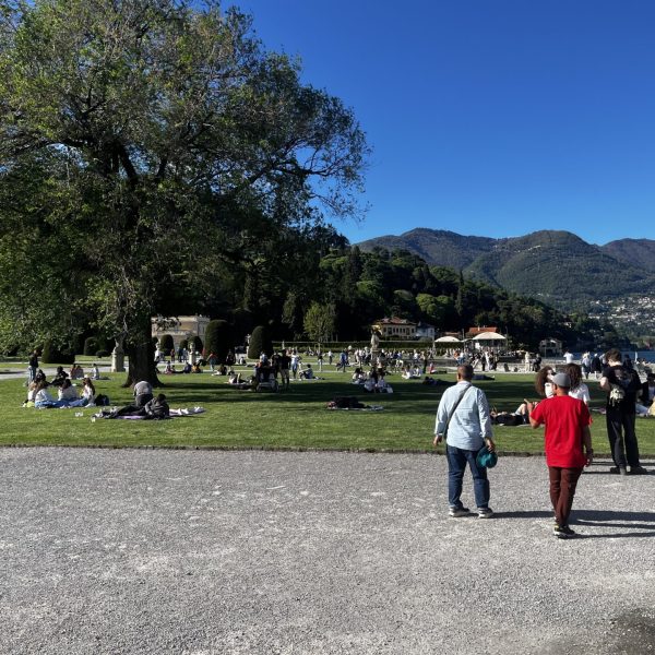 villa olmo