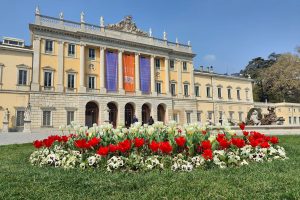 villa olmo