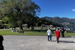 villa olmo