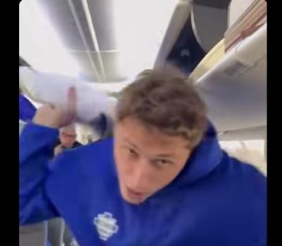 vojvoda cuscini