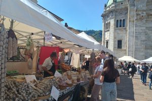 wine festival 2025 (1)