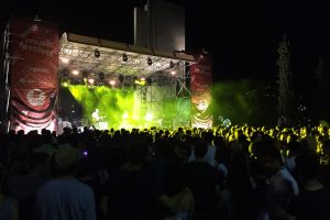 wow-2018 (27)